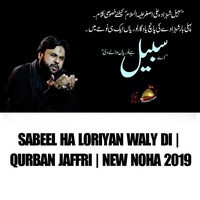 Sabeel Ha Loriyan Waly Di | Qurban Jaffri | New Noha 2019 - Radio Edit
