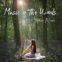 Woodland Dreaming