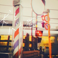 Dogs and Stupid Cats