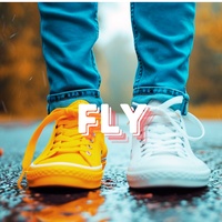 Fly