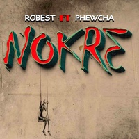 Nokre