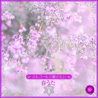 Harukaze(Music Box)