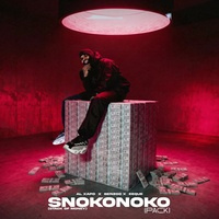SNOKONOKO