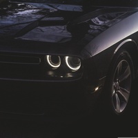 Car sport