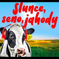 Slunce, Seno, Jahody - Techno remix