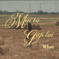 Mai Ta Gặp Lại