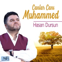 Yaralı Gönlüm