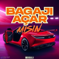 Bagajı Açar Mısın