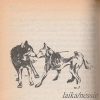 laika