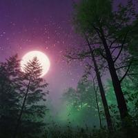 Sounds of the Natural forest in the Morning
