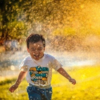 Sunny Day