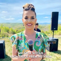 Viata trece vrem nu vrem