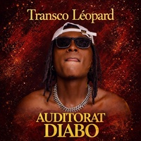 Auditorat Diabo