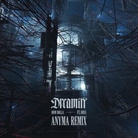 Dreamin (feat. Daya) (Anyma Remix)