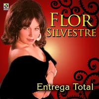 Canta Canta
