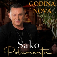 Godina Nova
