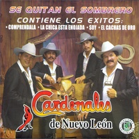 Y Lloras Corazón
