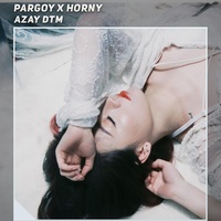 Narko Pargoy X Gangster