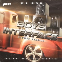 Boy's Interface - Dark Headz Refix - Slowed Version