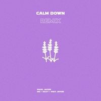 Calm Down (Favsoundds Remix)
