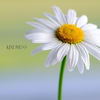 Kindness