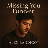 Missing You Forever