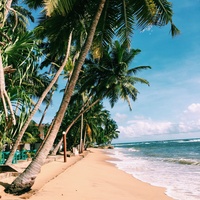 Praia (Paraíso Tropical)