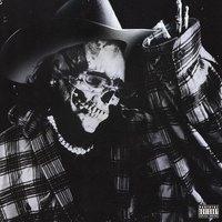 chrome cowboy