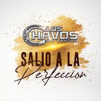 Salio A La Perfeccion