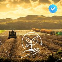 Piseiro Agro