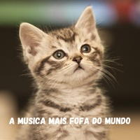 The cutest song in the world