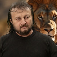 Printa lui Gutui