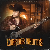 Corrido de Paulino (En Vivo)