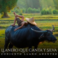 Llanero Que Canta Y Silva - Instrumental