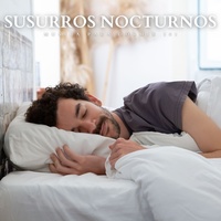 Serenidad En La Noche