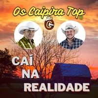Caí na Realidade