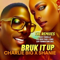 Bruk It Up (Micky Modelle Club Nation Extended Remix)