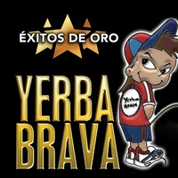 La Murga de Yerba
