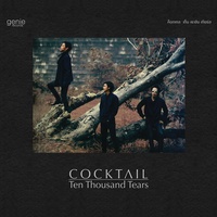 งานเต้นรําในคืนพระจันทร์เต็มดวง