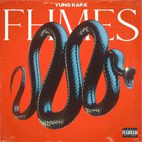FHMES