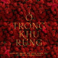 Ở Trong Khu Rừng