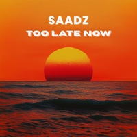 Too Late Now