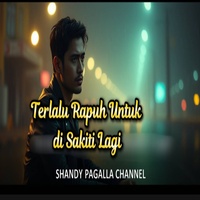 Terlalu Rapuh Untuk di Sakiti Lagi