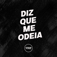 DIZ QUE ME ODEIA