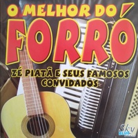 O Sanfoneiro só tocava isso