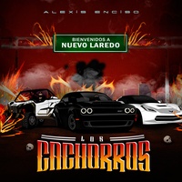 Los Cachorros