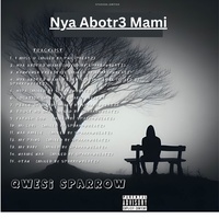 Nya Abotr3 Mami