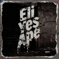 Eli Yes Ape