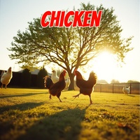 CHICKEN
