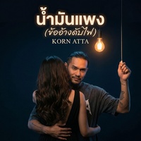 น้ํามันแพง(ข้ออ้างดับไฟ)